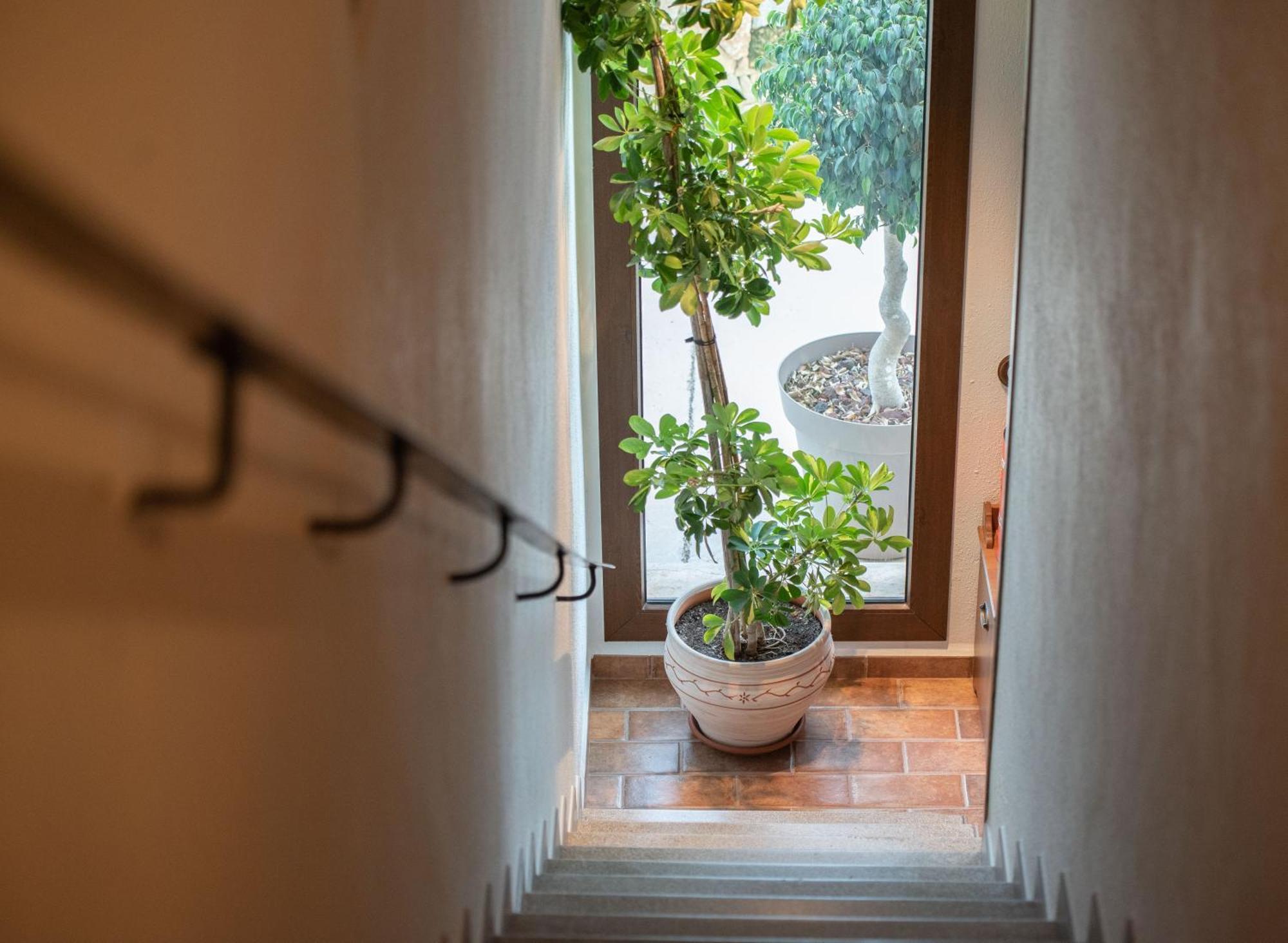 Masia Tinet Deltebre Bagian luar foto
